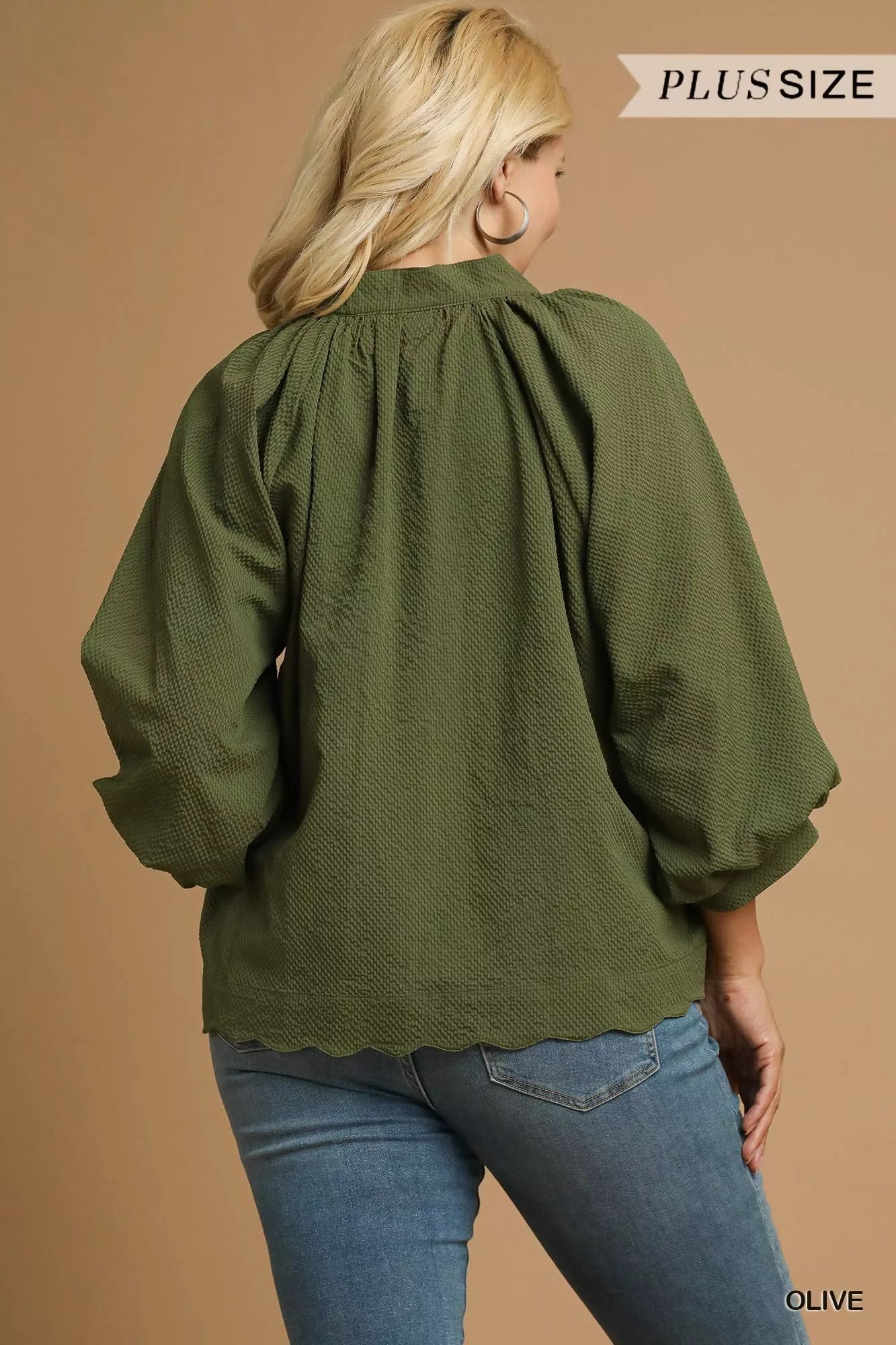 Textured Blouse, Notched Balloon Sleeve at In Style Chics Boutique