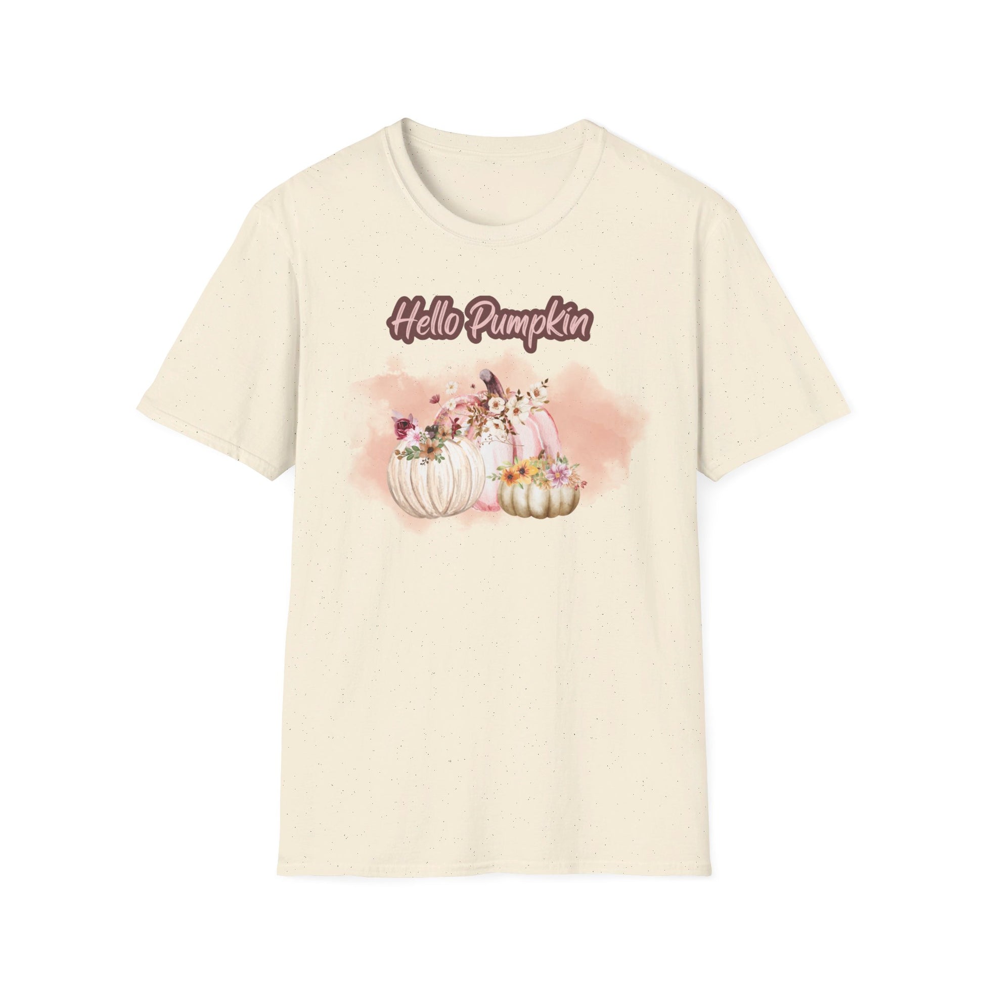 Hello Pumpkin GRAPHIC tee Fall T-shirts for Women at In Style Chics Boutique