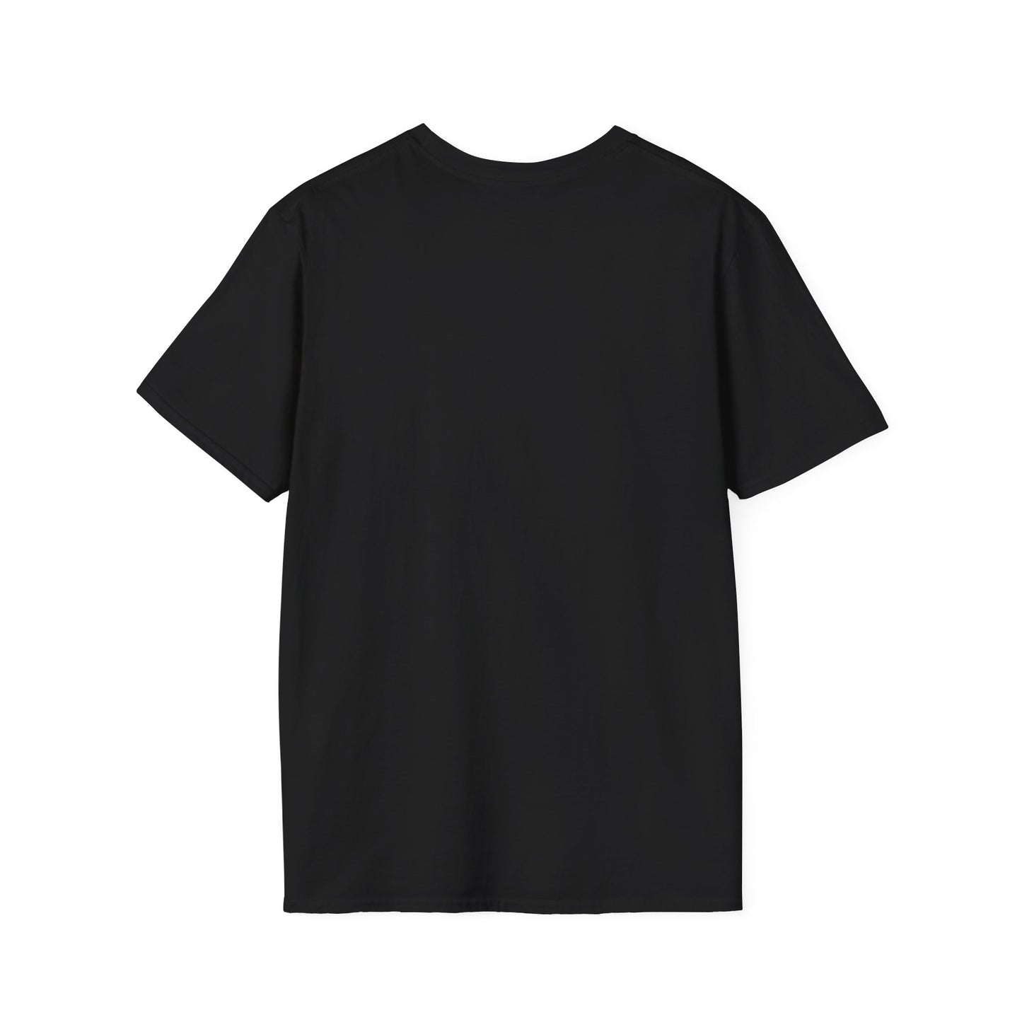 Unisex Softstyle Graphic T-Shirt - "PSA..." - In Style Chics Boutique LLC