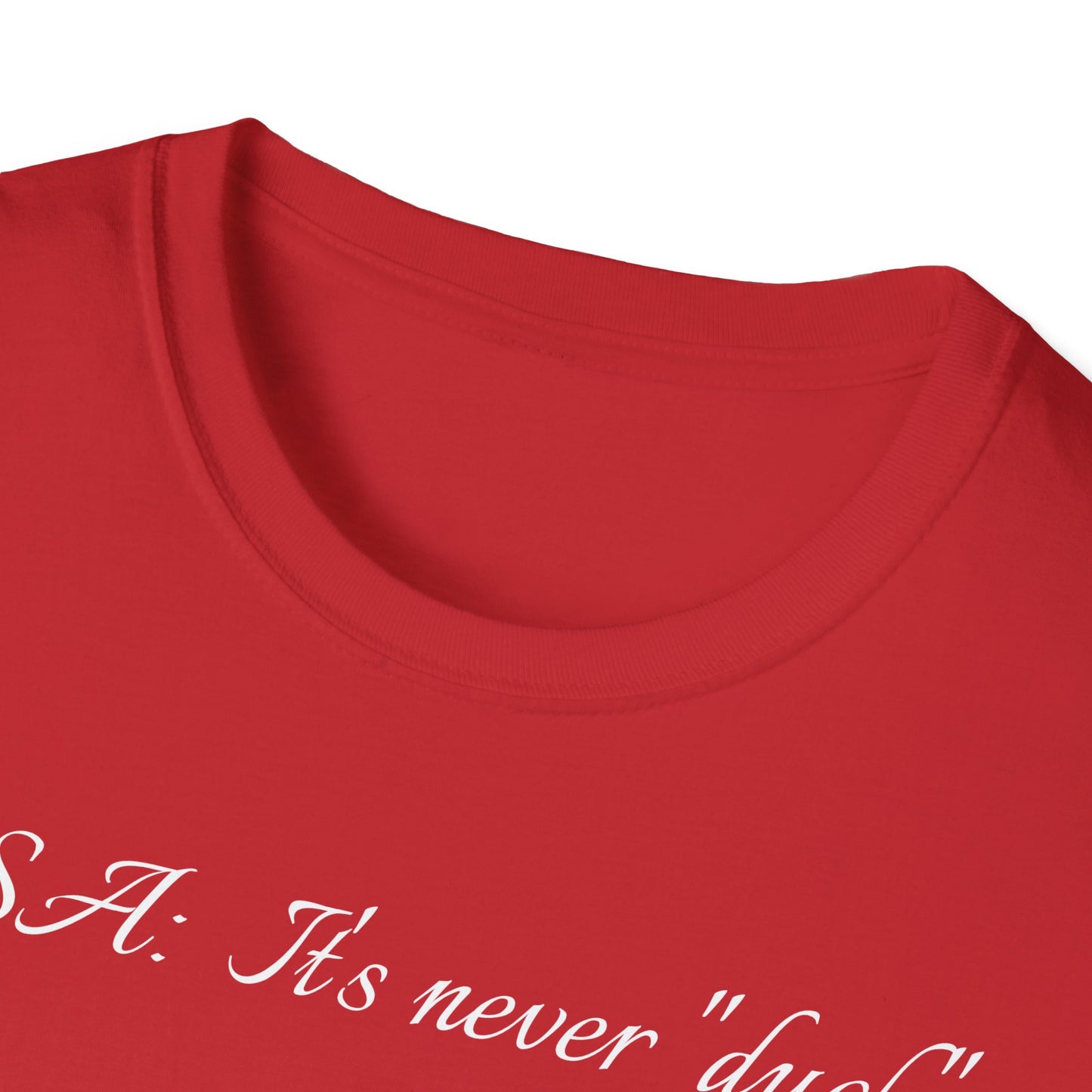 Unisex Softstyle Graphic T-Shirt - "PSA..." - In Style Chics Boutique LLC