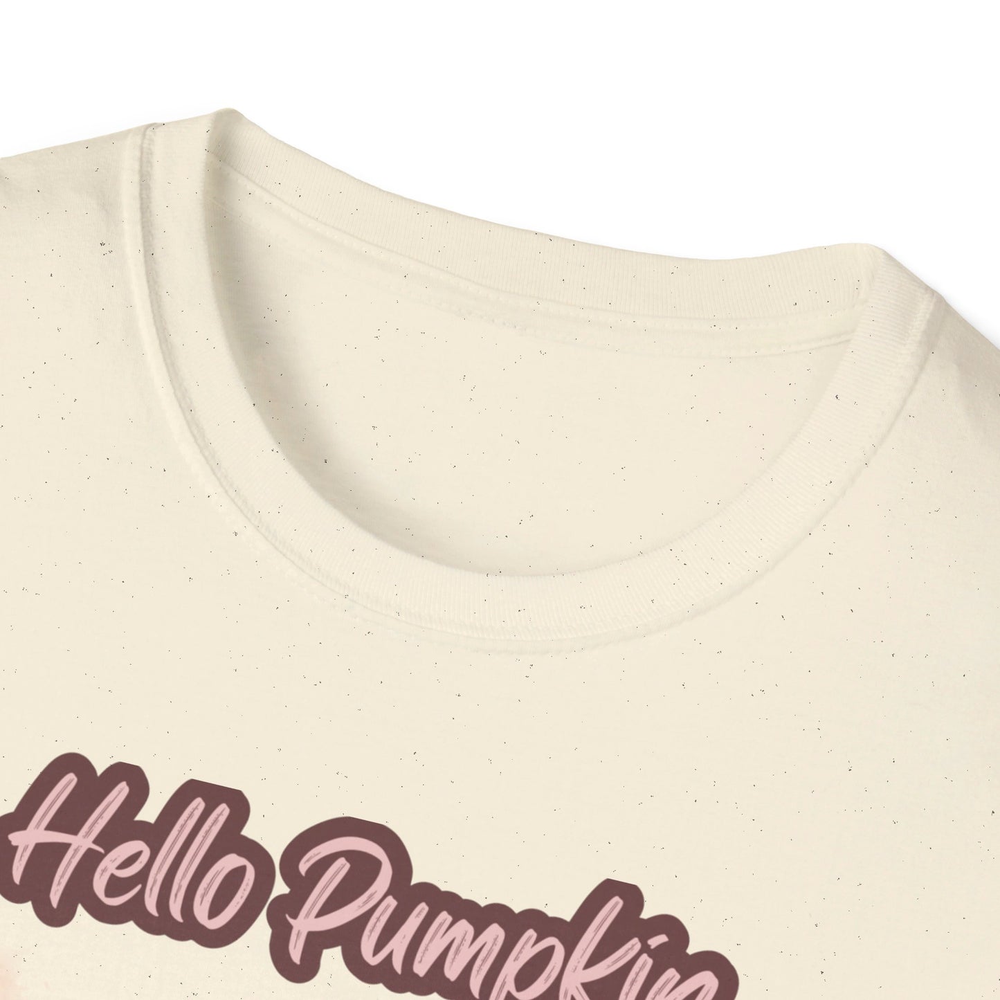 Hello Pumpkin GRAPHIC tee Fall T-shirts for Women at In Style Chics Boutique