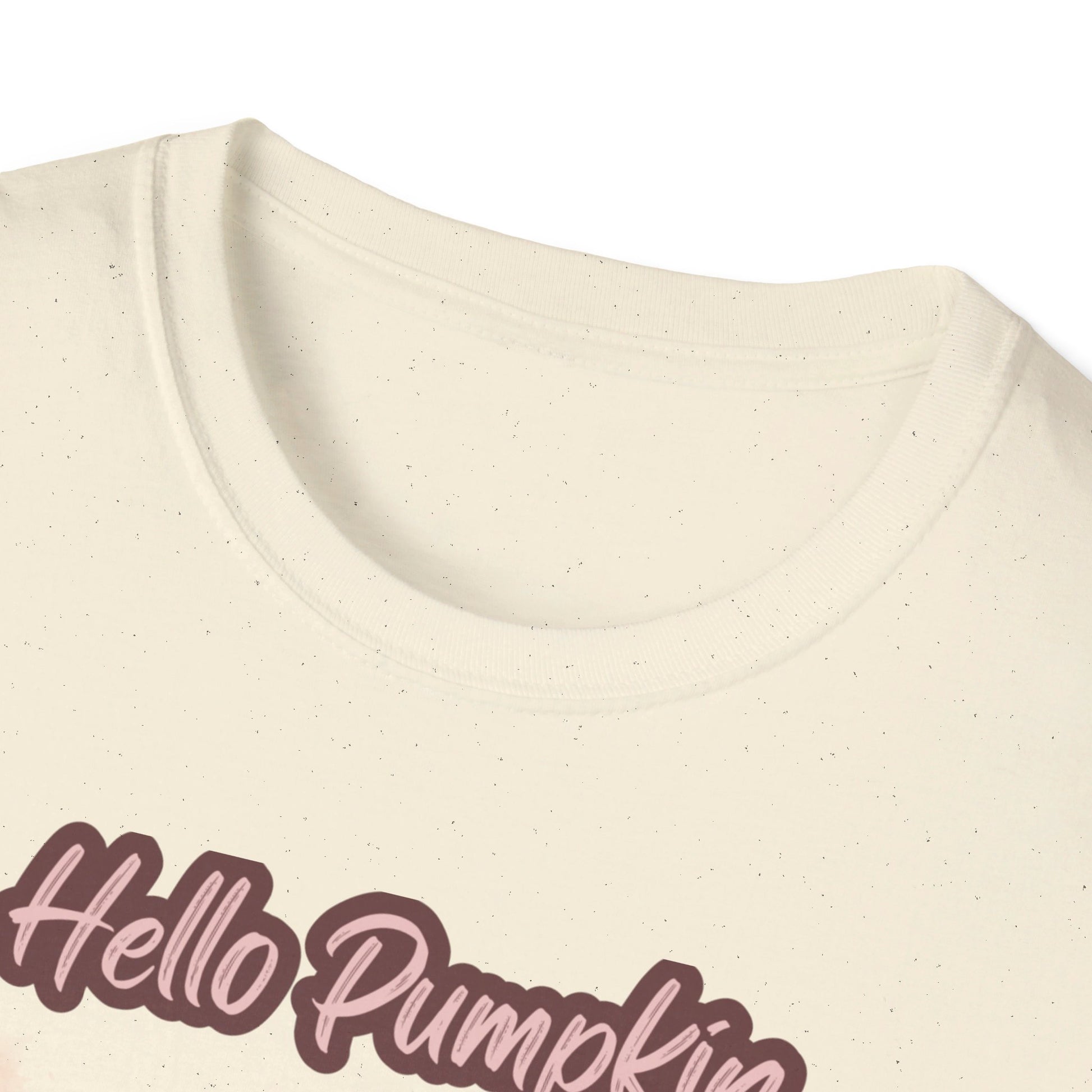 Hello Pumpkin GRAPHIC tee Fall T-shirts for Women at In Style Chics Boutique