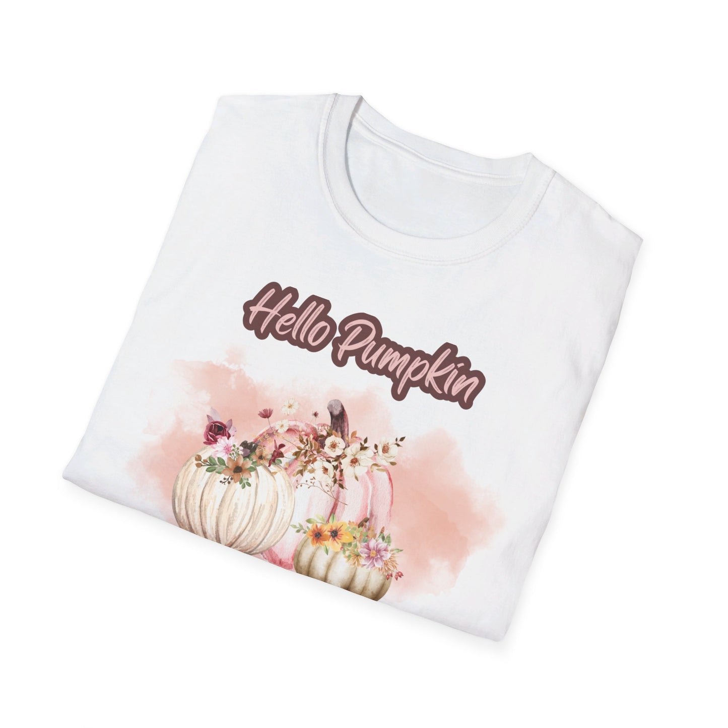 Hello Pumpkin GRAPHIC tee Fall T-shirts for Women at In Style Chics Boutique