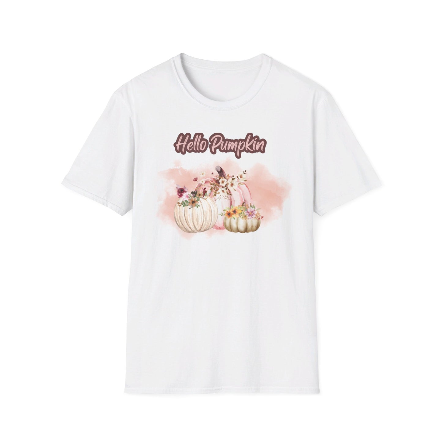 Hello Pumpkin GRAPHIC tee Fall T-shirts for Women at In Style Chics Boutique