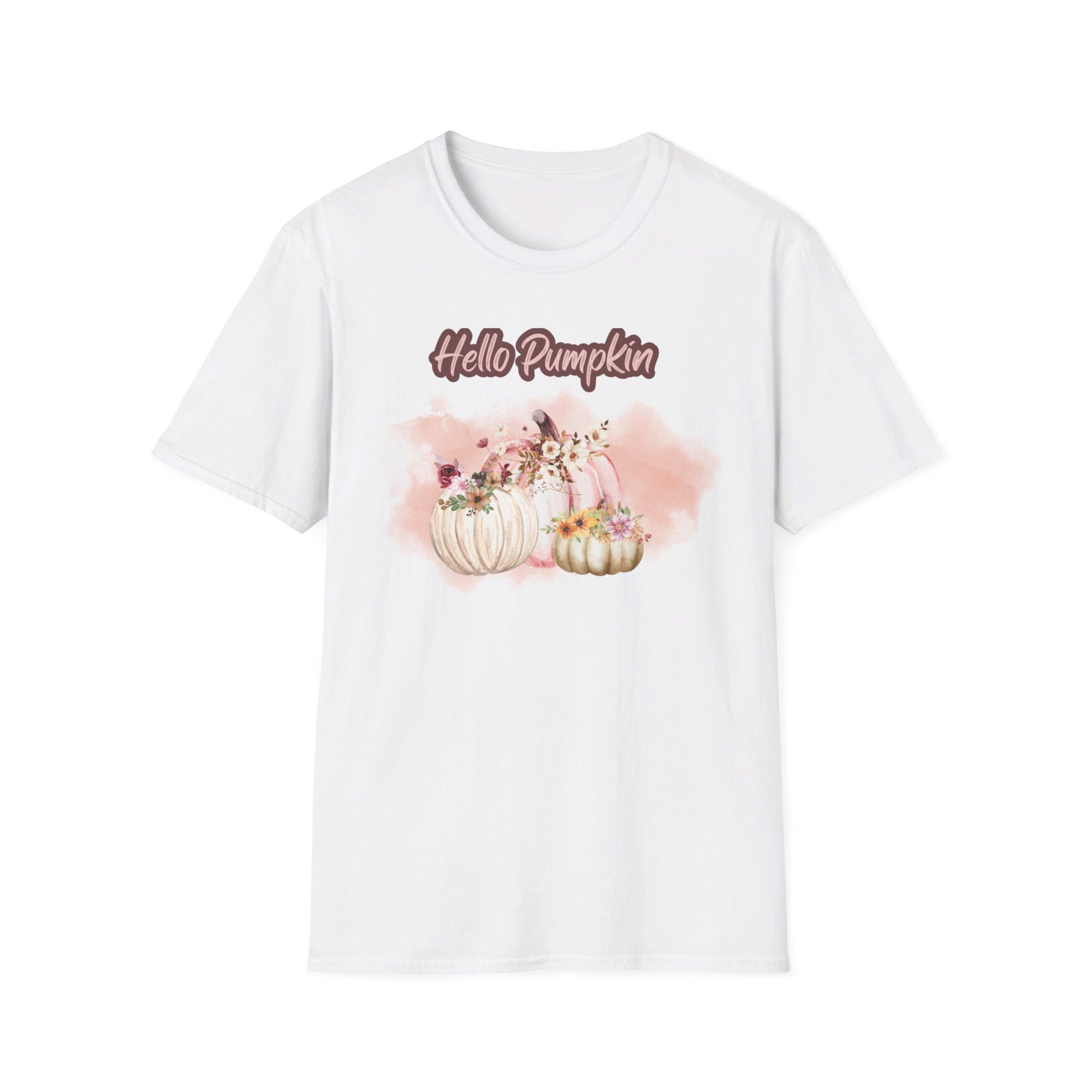 Hello Pumpkin GRAPHIC tee Fall T-shirts for Women at In Style Chics Boutique