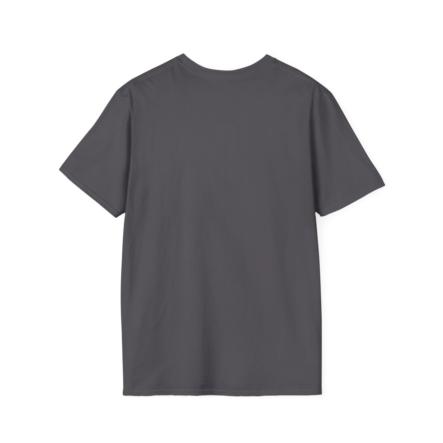 Unisex Softstyle Graphic T-Shirt - "PSA..." - In Style Chics Boutique LLC