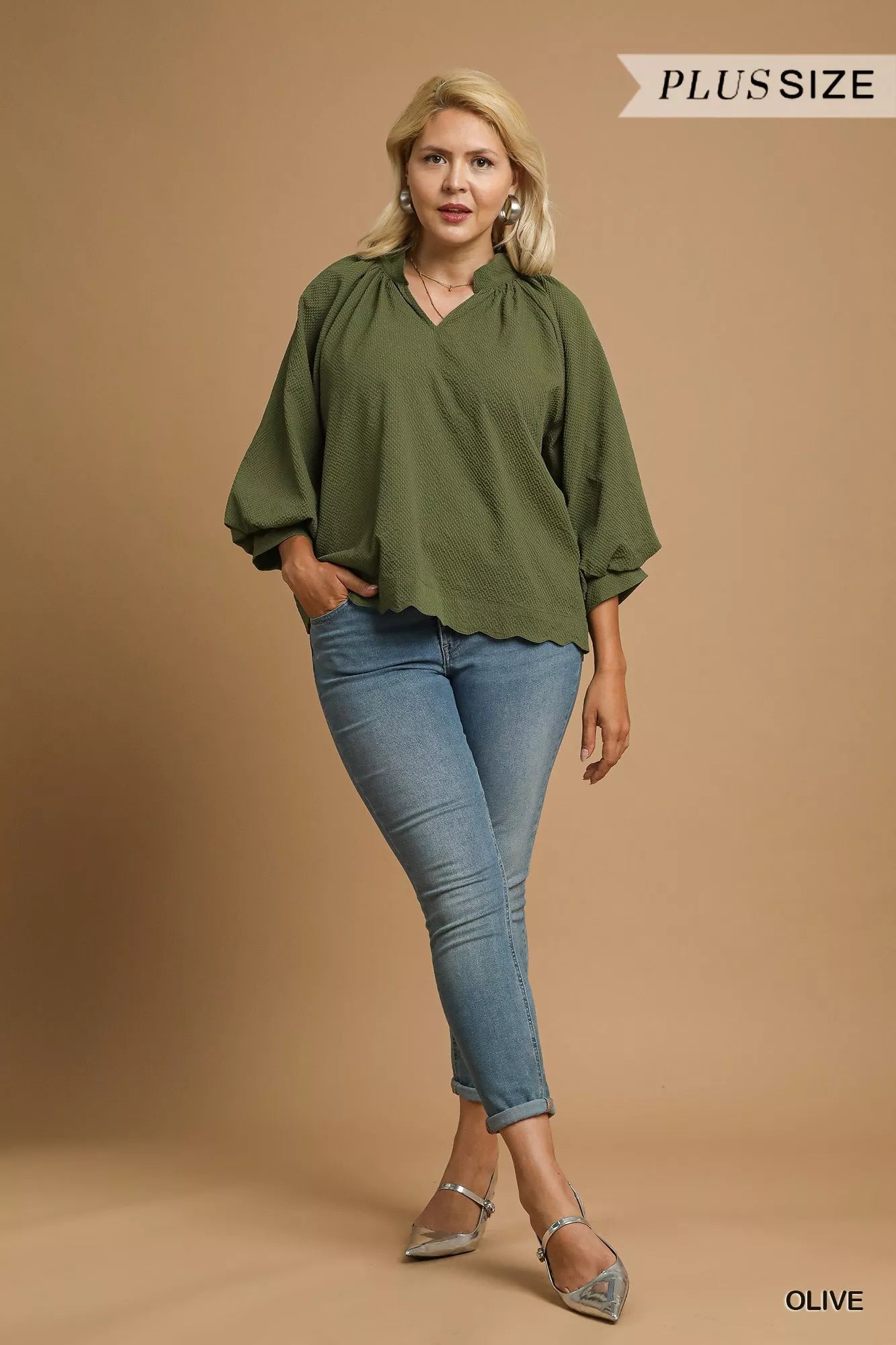 Textured Blouse, Notched Balloon Sleeve at In Style Chics Boutique