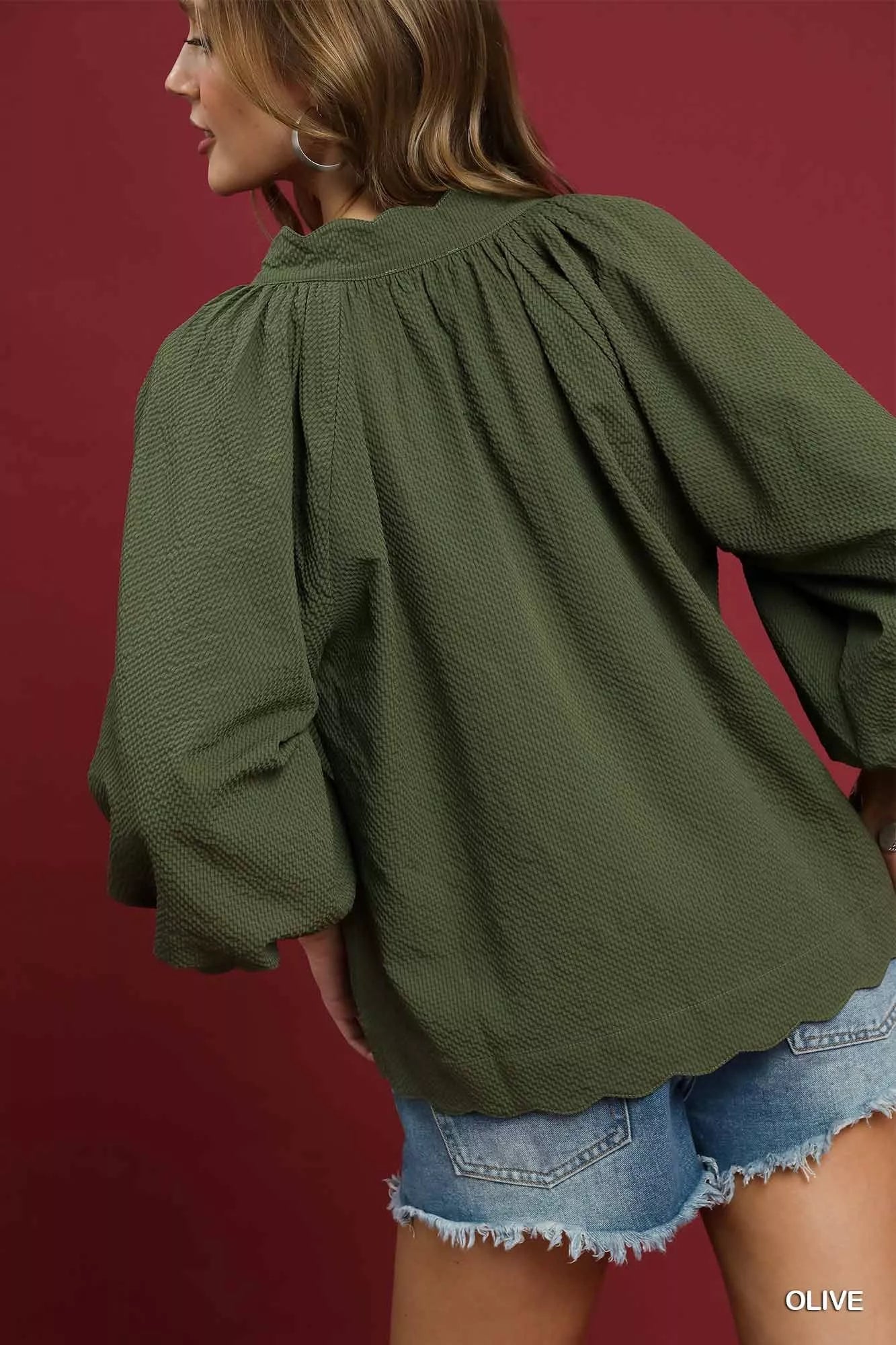 Textured Blouse, Notched Balloon Sleeve at In Style Chics Boutique