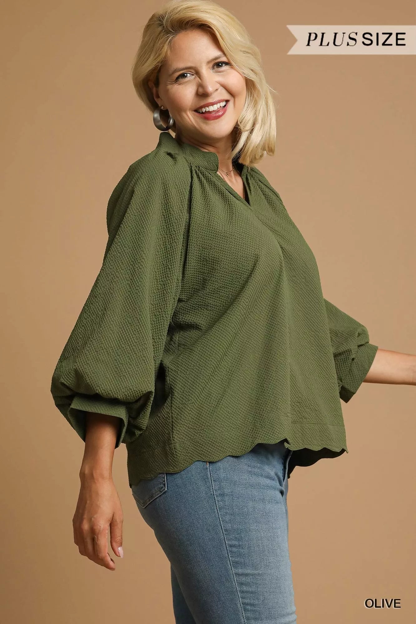 Textured Blouse, Notched Balloon Sleeve at In Style Chics Boutique