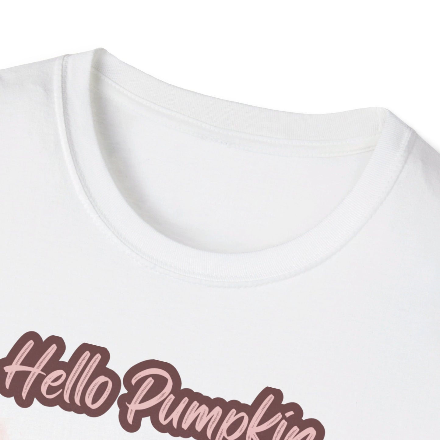 Hello Pumpkin GRAPHIC tee Fall T-shirts for Women at In Style Chics Boutique