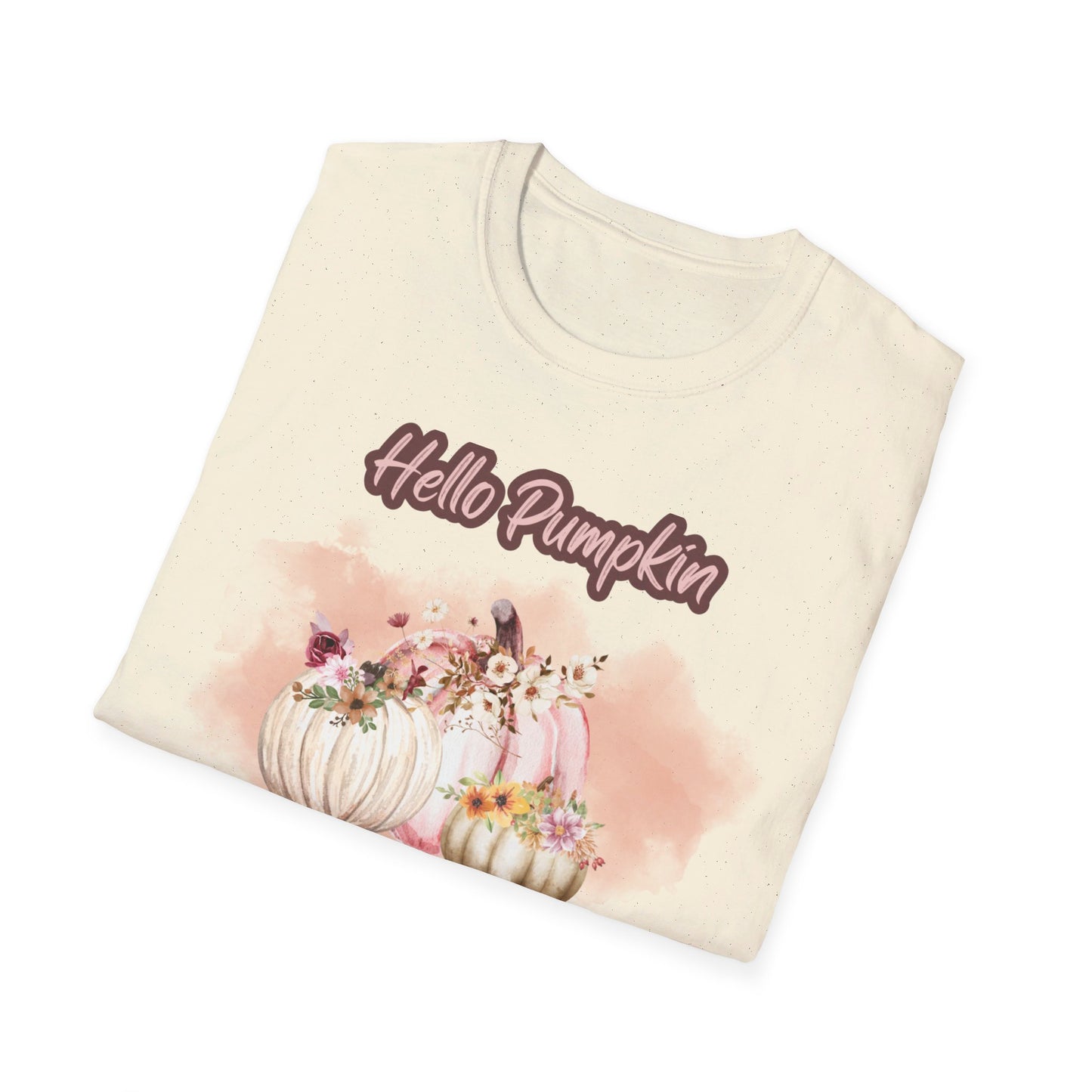 Hello Pumpkin GRAPHIC tee Fall T-shirts for Women at In Style Chics Boutique