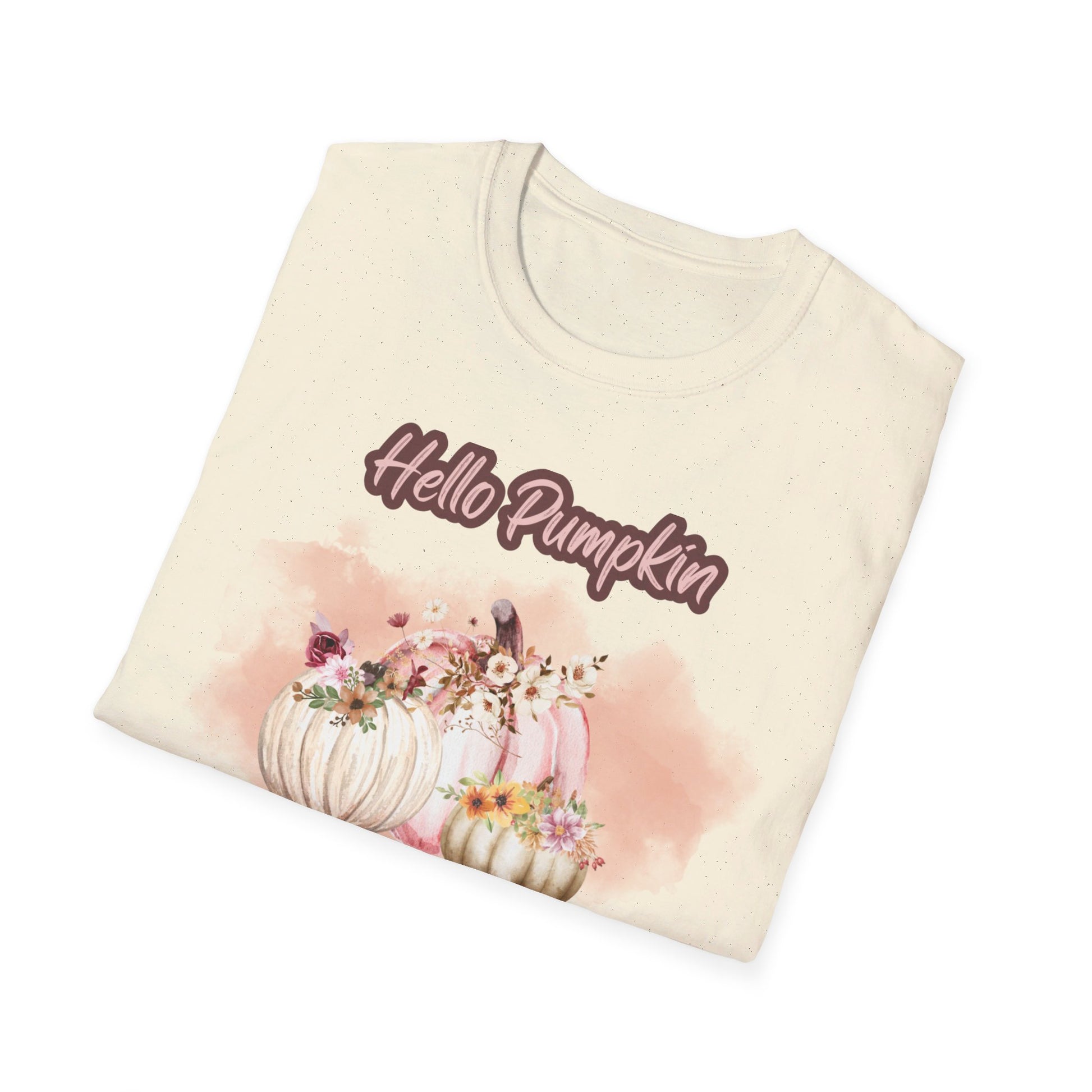Hello Pumpkin GRAPHIC tee Fall T-shirts for Women at In Style Chics Boutique