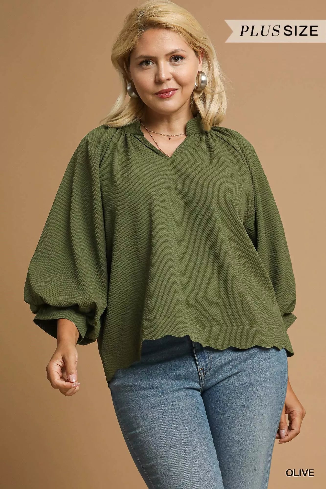 Textured Blouse, Notched Balloon Sleeve at In Style Chics Boutique